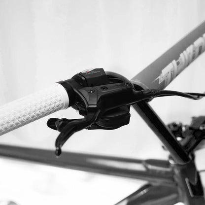 Throne Bikes The Goon Runner - Grey 29"